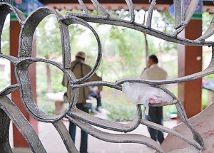 中国游客境外游不文明行为真不少2013年09月