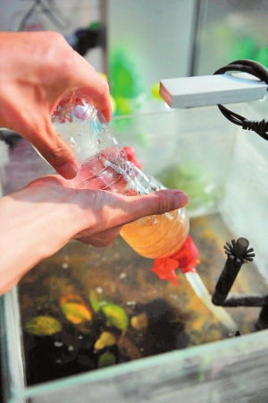 气球+吸管+空塑料瓶能变身鱼缸清洁神器2014