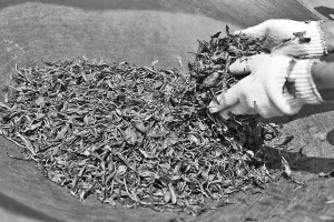 15家农企预约认筹5600万元基金2015年05月1