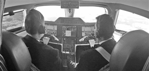 树的姿态-福州海峡人才,炮轰圣光哨站怎么做,赤