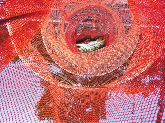 捕大鱼笼性价比 地笼网 鱼笼 捕鱼10米质量好推