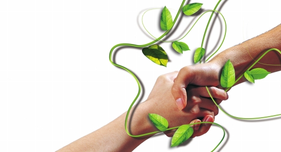 生命的意义在于选择|生命的选择|生命的选择阅