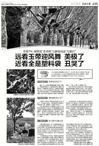 远看玉带迎风舞 美极了 近看全是塑料袋 丑哭了